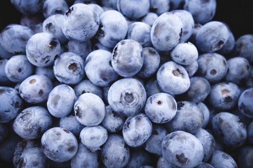 Stay grounded with a blueberry bush